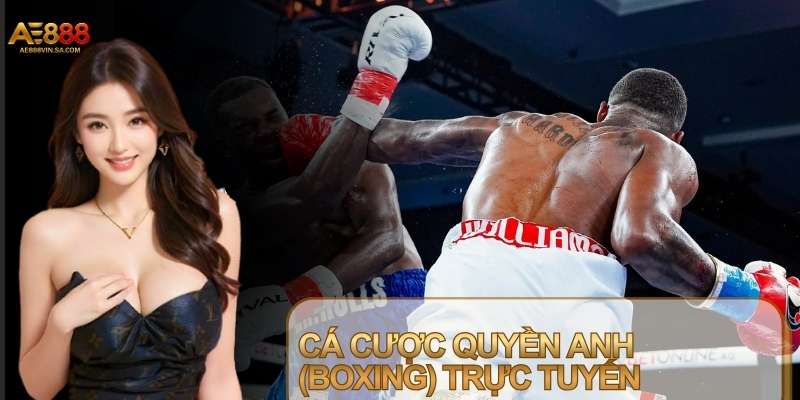 Cá cược Quyền Anh (Boxing) được nhiều người quan tâm