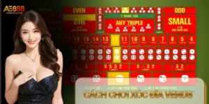 Cách Chơi Xóc Đĩa Venus – Bí Quyết Chinh Phục Sảnh Cược