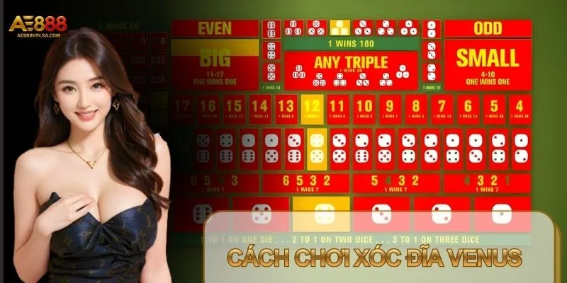 Cách Chơi Xóc Đĩa Venus – Bí Quyết Chinh Phục Sảnh Cược Cách Chơi Xóc Đĩa Venus – Bí Quyết Chinh Phục Sảnh Cược