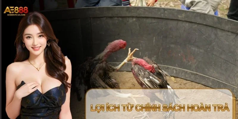 Cơ chế hoàn trả được tích hợp trực tiếp trong giao diện kèo