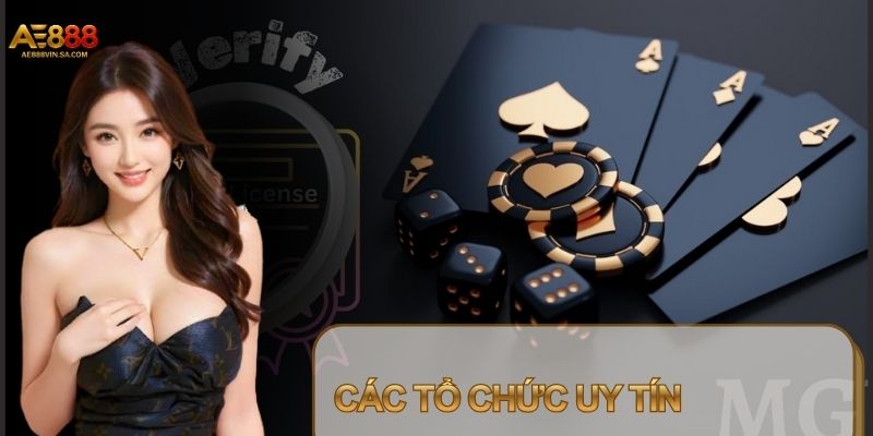 Cổng game phải chứng minh năng lực để được cấp giấy phép