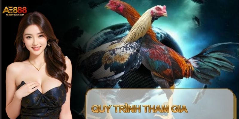 Cược đá gà là hình thức rất dễ tham gia