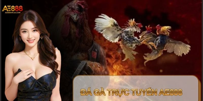 AE888 hỗ trợ đa dạng hình thức theo dõi 