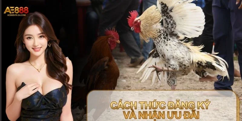 Kê thủ nên đăng ký Bảo hiểm cược thua đá gà