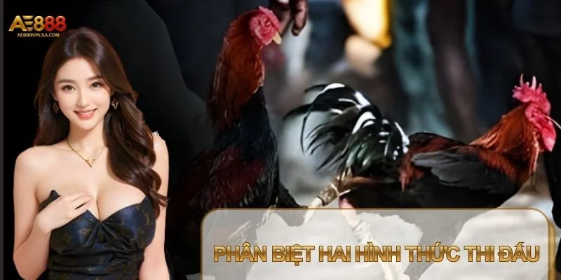 Mỗi hình thức sẽ có những điểm hấp dẫn riêng