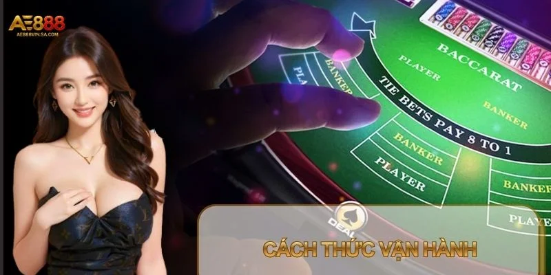 Mỗi trò chơi casino sẽ có cách vận hành riêng